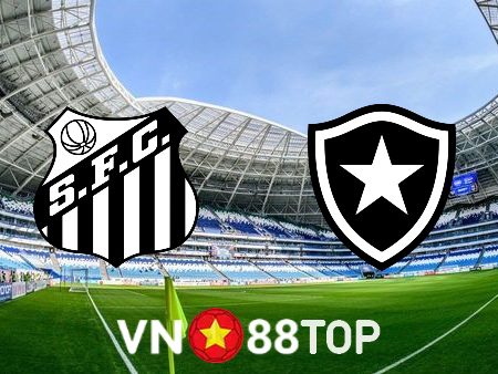 Soi kèo nhà cái, tỷ lệ kèo bóng đá: Santos vs Botafogo RJ – 02h00 – 24/07/2023